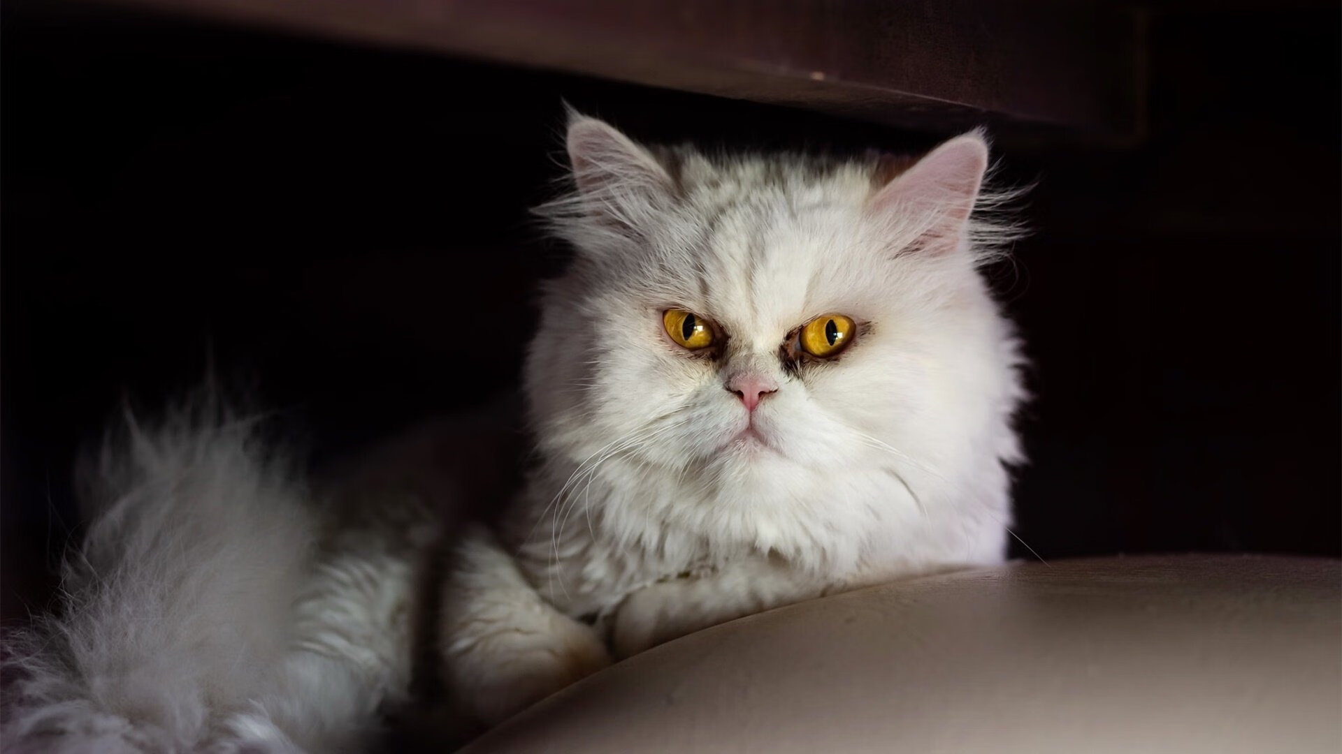 守转攻阶段是否是五大联赛战术创新最集中的部分，守转攻三对三有哪些训练方法