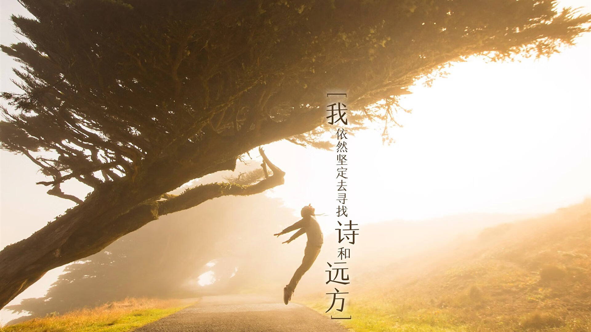 蒙彼利埃加强身体对抗提升中场硬度，蒙彼利埃球员名单